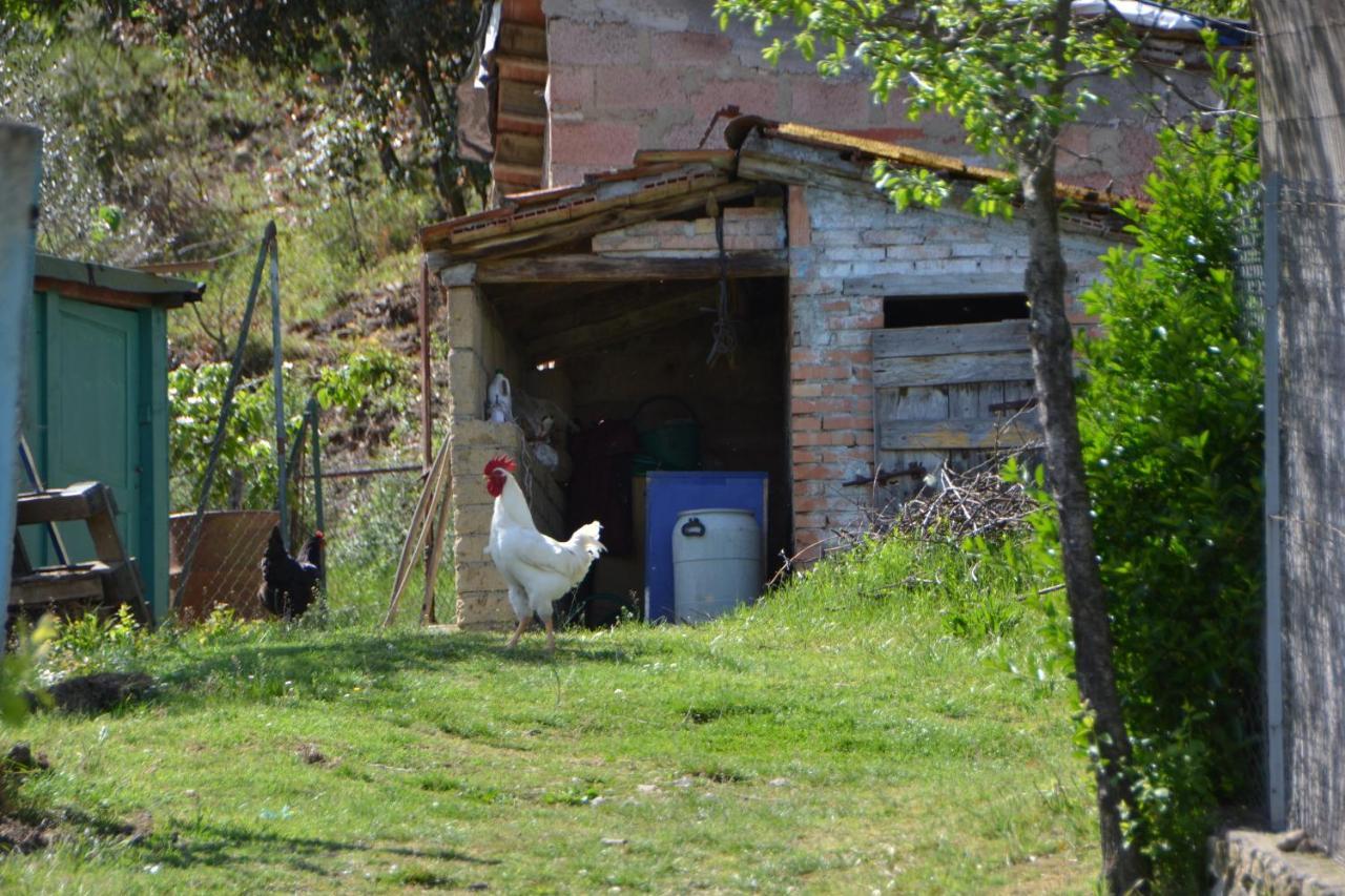 Affittacamere La Fornace Rigomagno エクステリア 写真